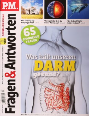 P . M. Fragen und Antworten